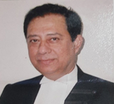 Hon'ble Mr. Mahavir Singhal