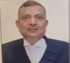 Hon'ble Mr. Mahavir Singhal