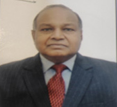 Hon'ble Mr. Justice Surendra Kumar